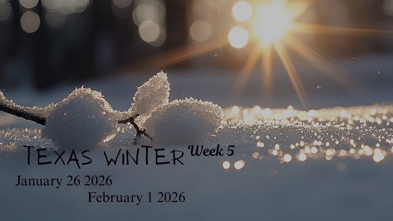 Week 5: Plan with me || It's been COLD