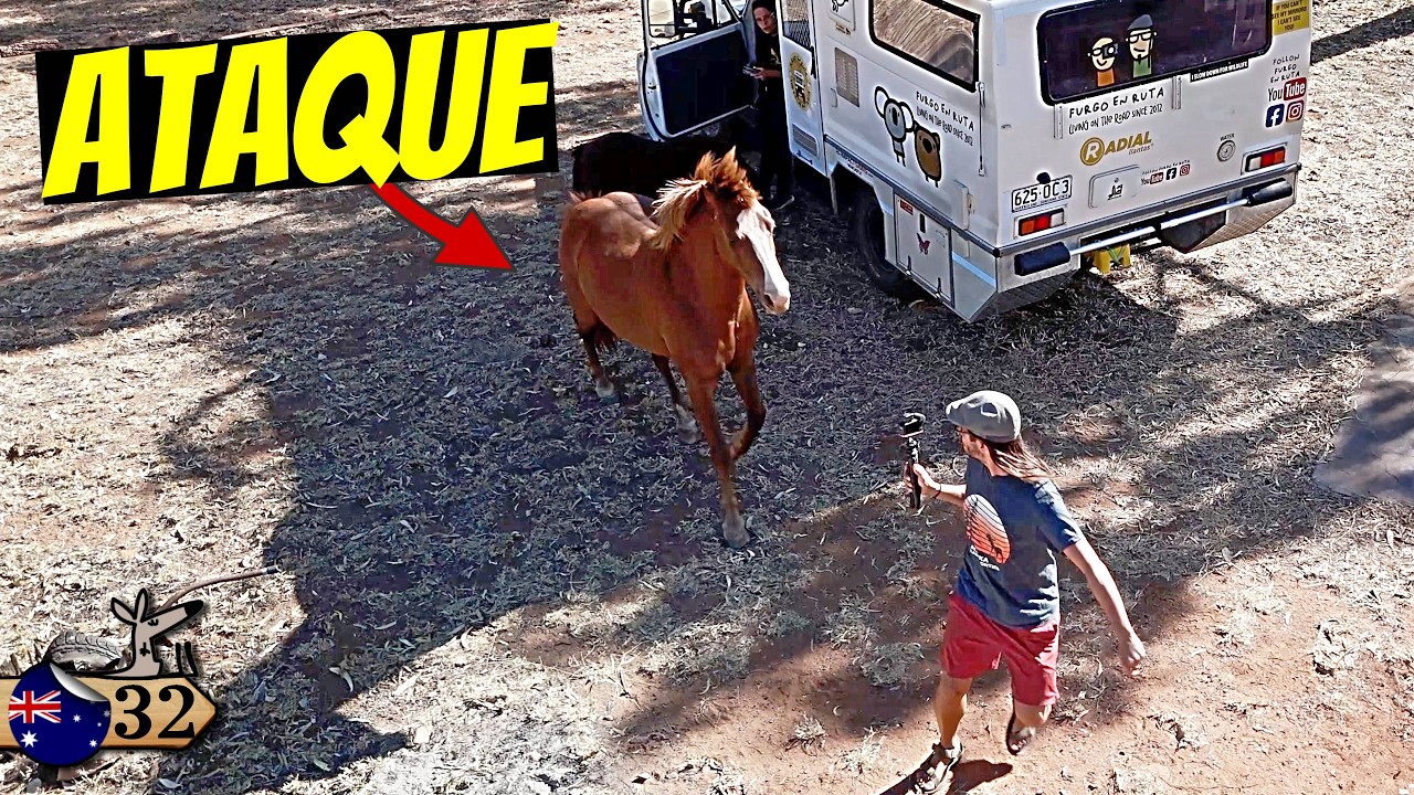 Nos ATACA UN CABALLO SALVAJE en un PUEBLO ABANDONADO del centro de AUSTRALIA 😱💥