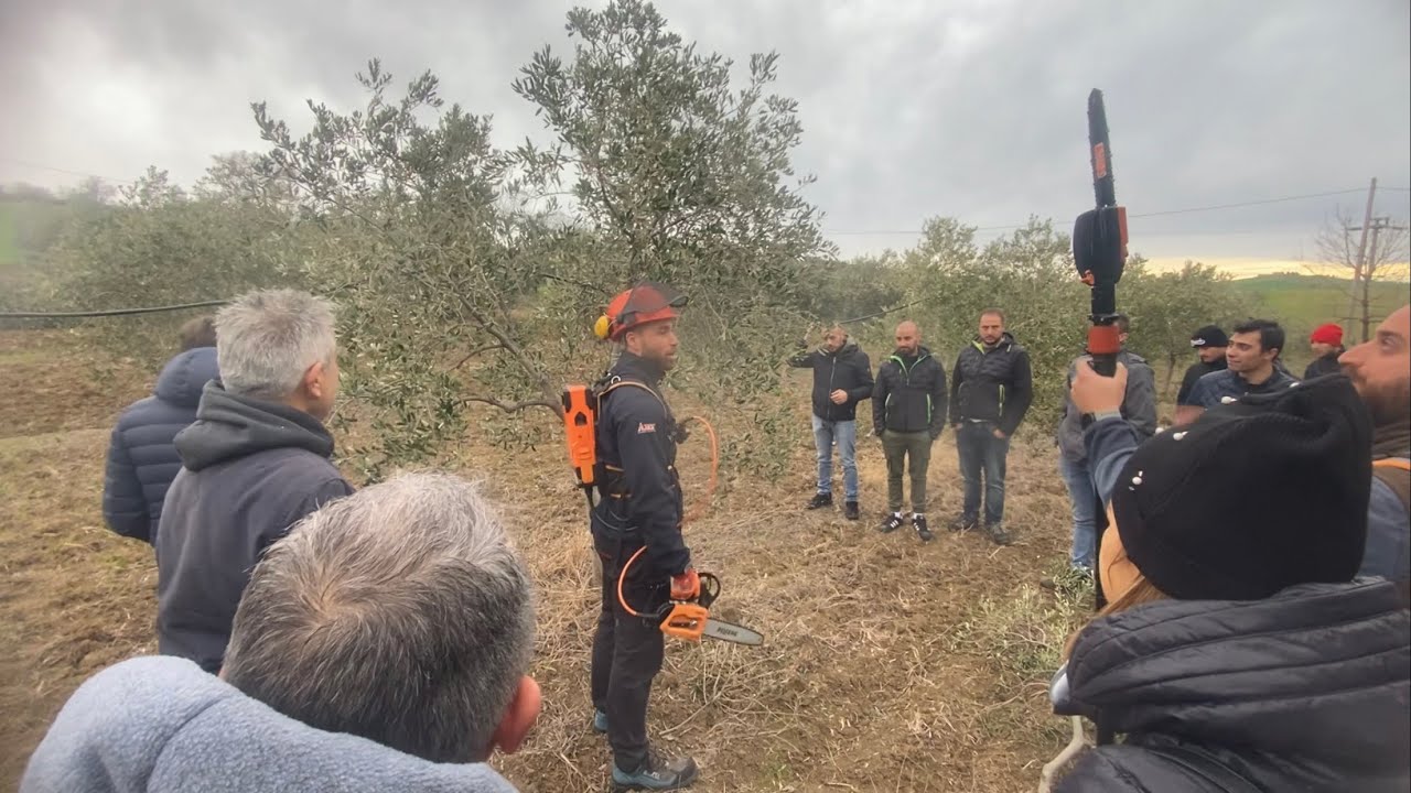 Corso di Potatura dell’olivo 24 e 25 Febbraio 2024