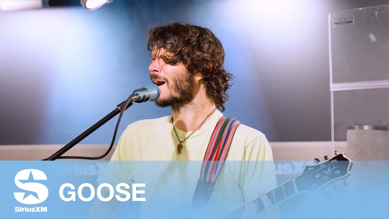 Goose — 