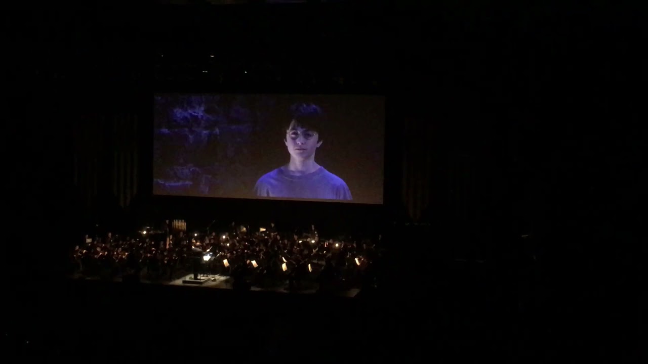 Harry Potter y la Piedra Filosofal en Concierto - Argentina 17 junio 2017 - Luna Park