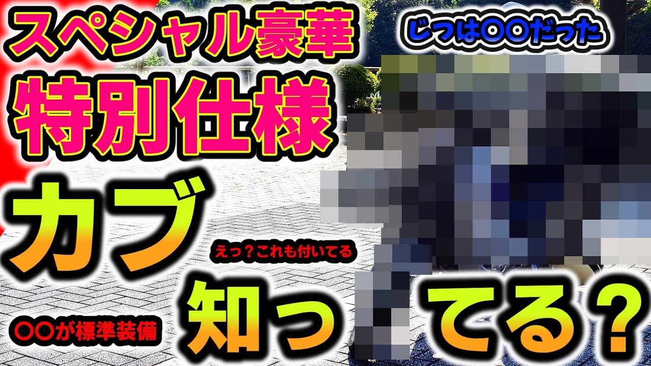 【スーパーカブ】実はすごい！？スペシャル豪華な特別仕様なカブ知ってる？ #プロ仕様 #本格装備