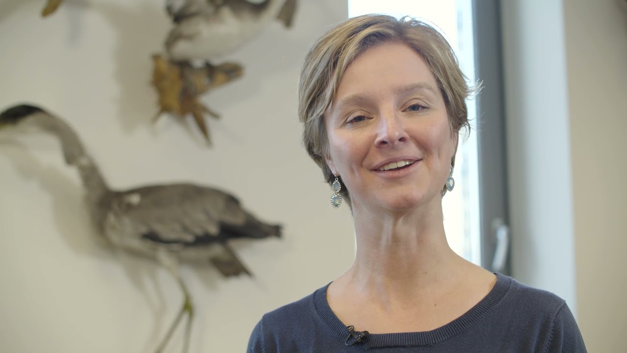 Fioretti College Veghel | Voorlichting praktijkonderwijs 2021 | Voor groep 8 leerlingen en ouders