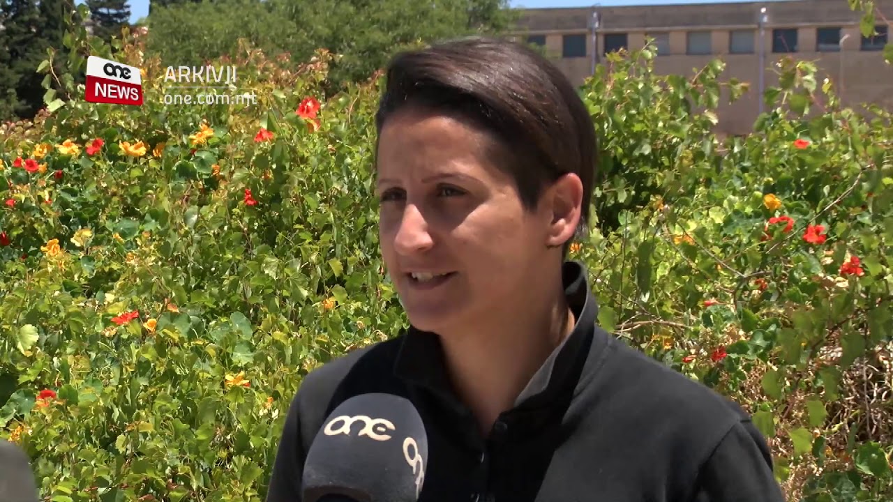 &ldquo;IL-KLIEM TA&rsquo; LOUIS GALEA WEĠĠAGĦNI&rdquo; &ndash; OMMHA MIETET BIL-KANĊER