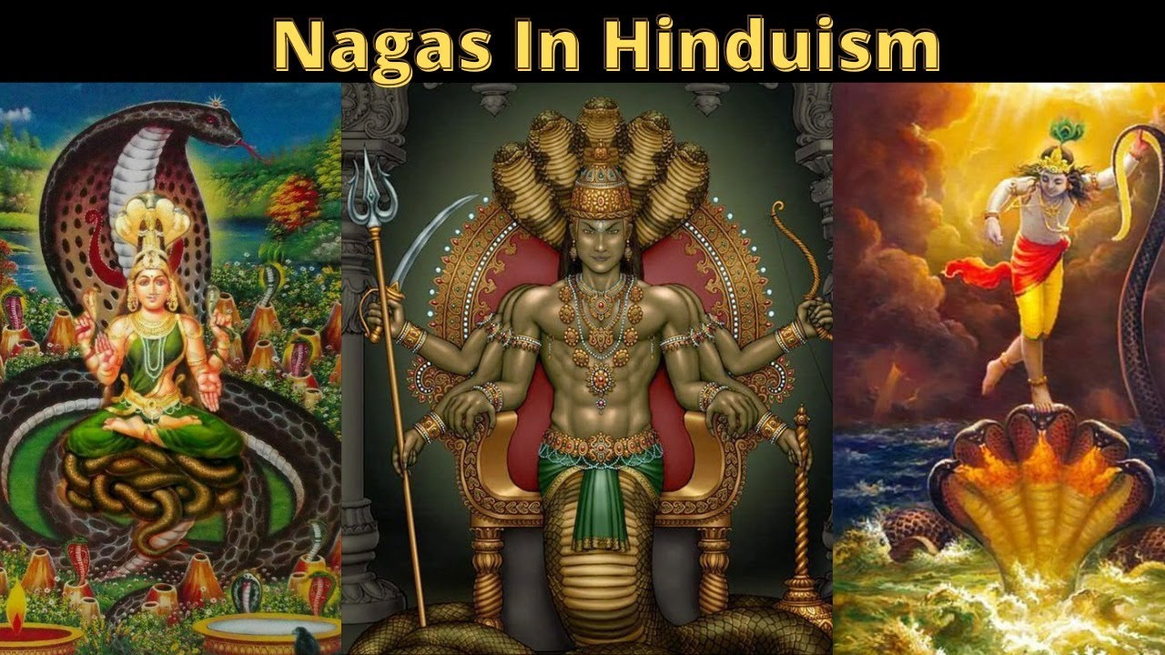 Nagas In Hinduism. | Snake Worship in Hindu Dharma.