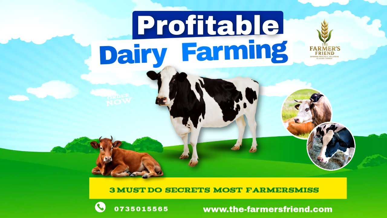 Profitable Dairy Farming: 3 Must Do Secrets Most Farmers Miss