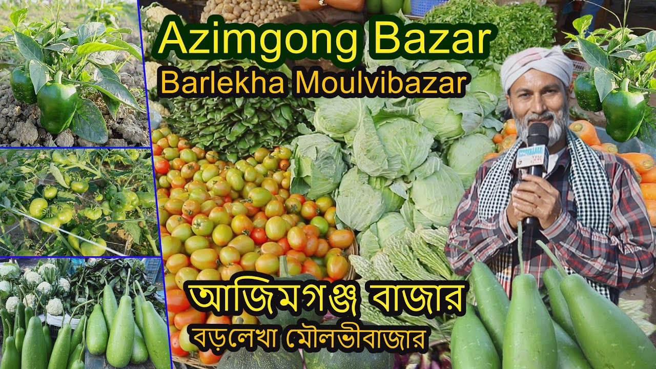 Amazing Bangladeshi Haat Market The Azimganj Bazar in Barlekha | আজিমগঞ্জ