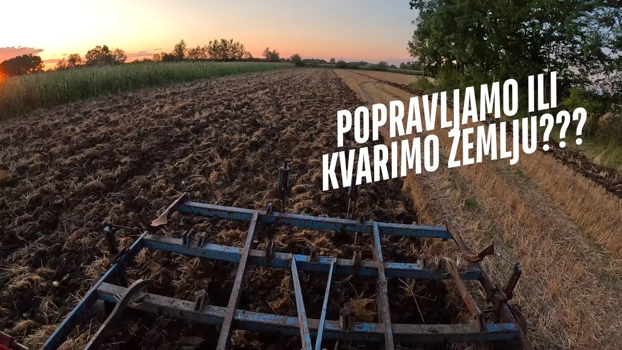 GRUBER DOBAR , LOŠ ILI ZAO?? - GRUBIRANJE - SJETVA ZELENE GNOJIDBE - SKUPLJANJE BALA - ZETOR 4911