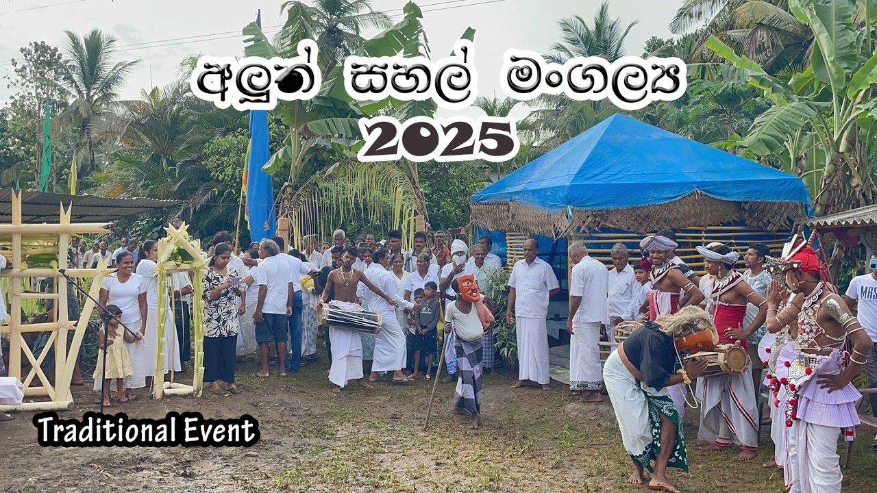 අලුත් සහල් මංගල්‍යය 2025 | Traditional Event in sri lanka #srilanka #documentary 