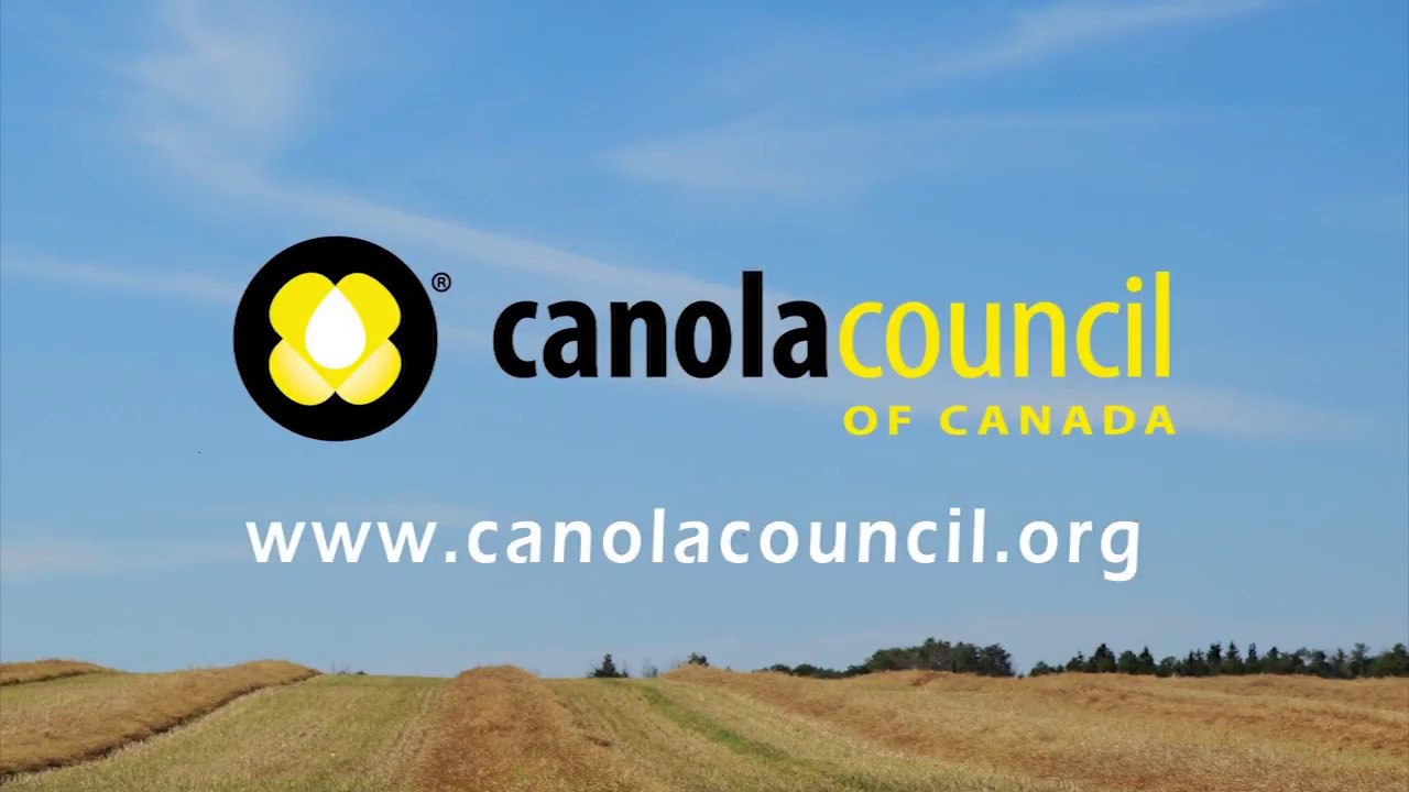 Canola Harvest Management and Mitigating Loss - short