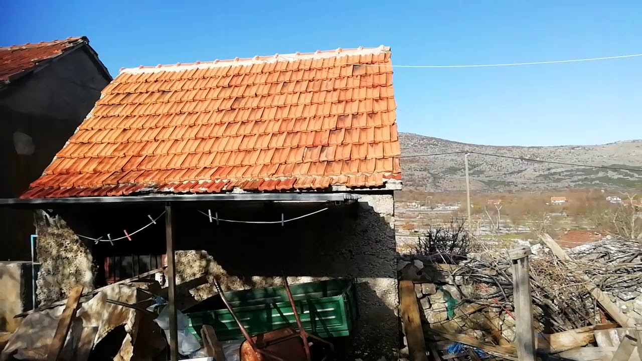 Janjenje jedne ovce.