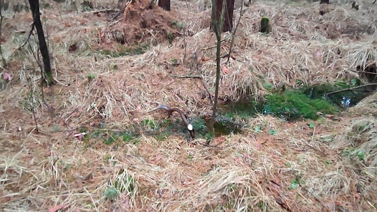 Zrzuty jeleni 2024 Parka czternastaka nieregularnego skompletowana