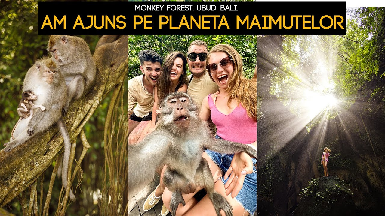 Ce poți vedea în UBUD, BALI?!