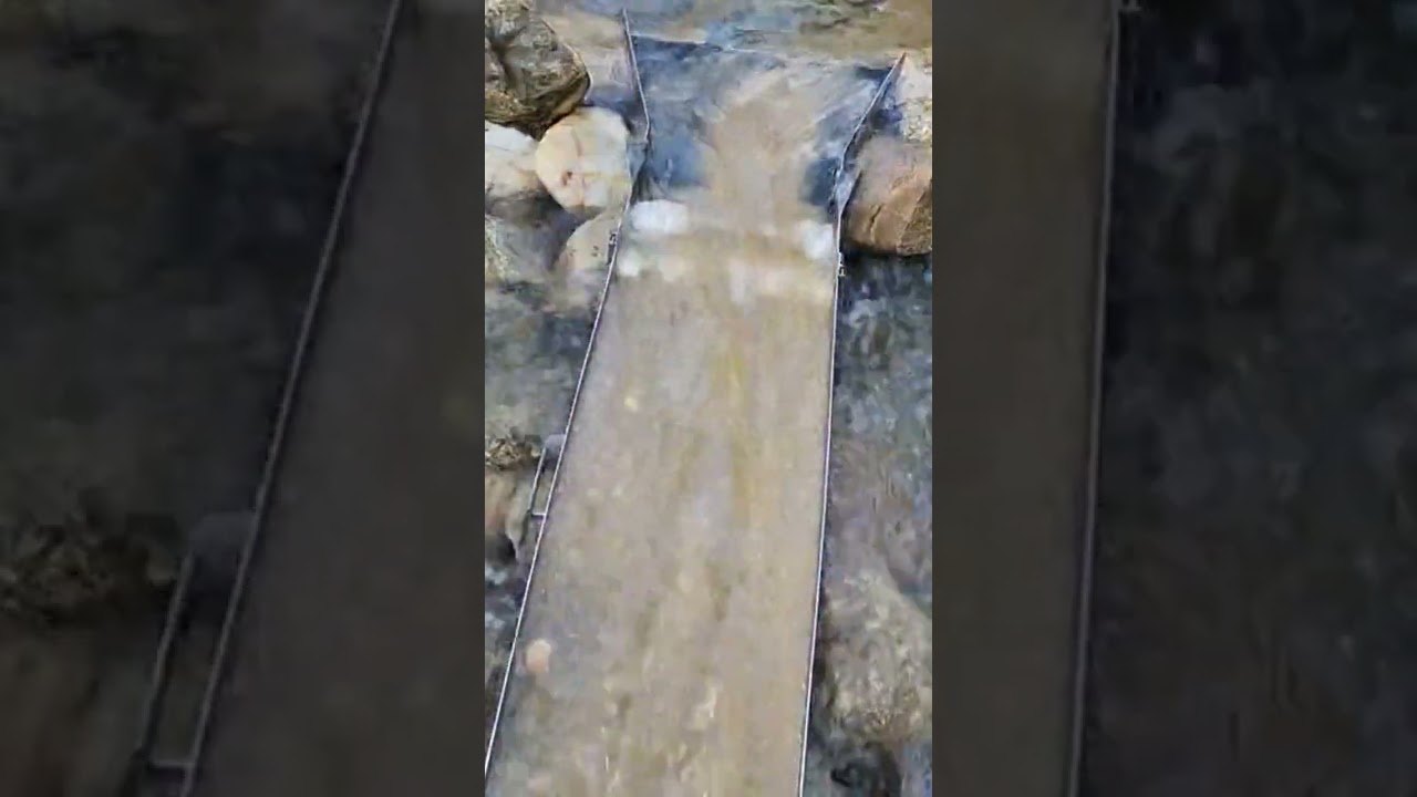 Big sluice big gold!