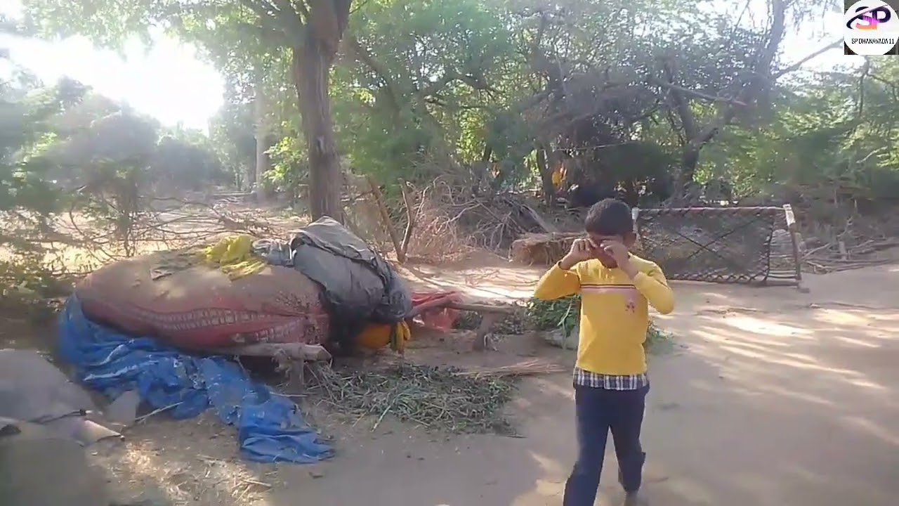 ગોડાએ કરી ધમાલ//કોમેડી વિડિયો// SP DHANAVADA 11 