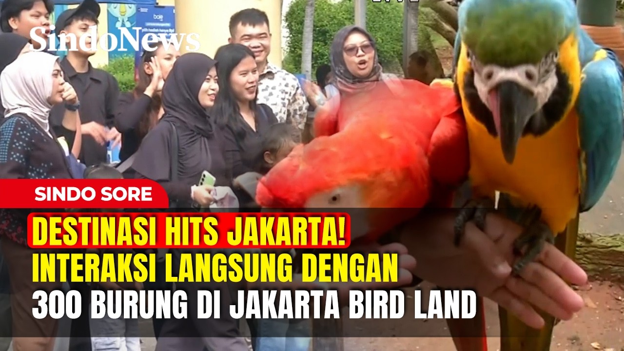 Destinasi Hits Jakarta! Interaksi Langsung dengan 300 Burung di Jakarta Bird Land | Sindo Sore