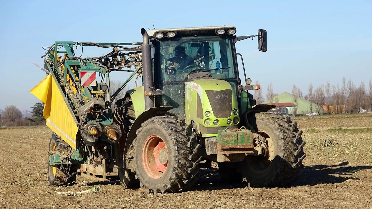 *RACCOLTA PORRO* | Claas Arion 640 | JD 5115 M | Baekelandt | GAMBETTA PAOLO