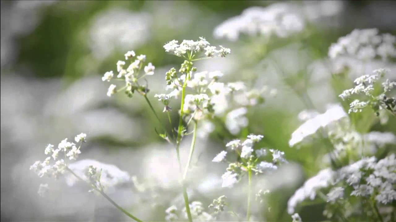 Florame