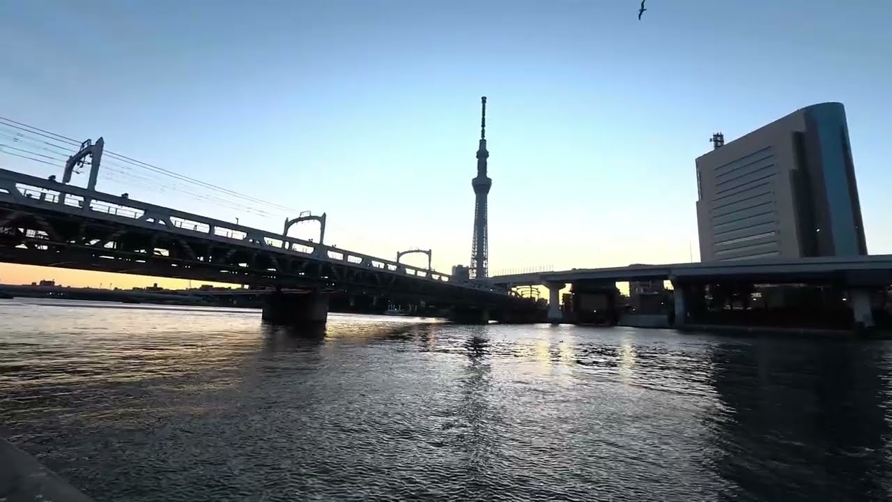 【隅田川】隅田川　朝散歩｜東京朝焼けBGM｜作業・リラックス｜Tokyo Morning Walk