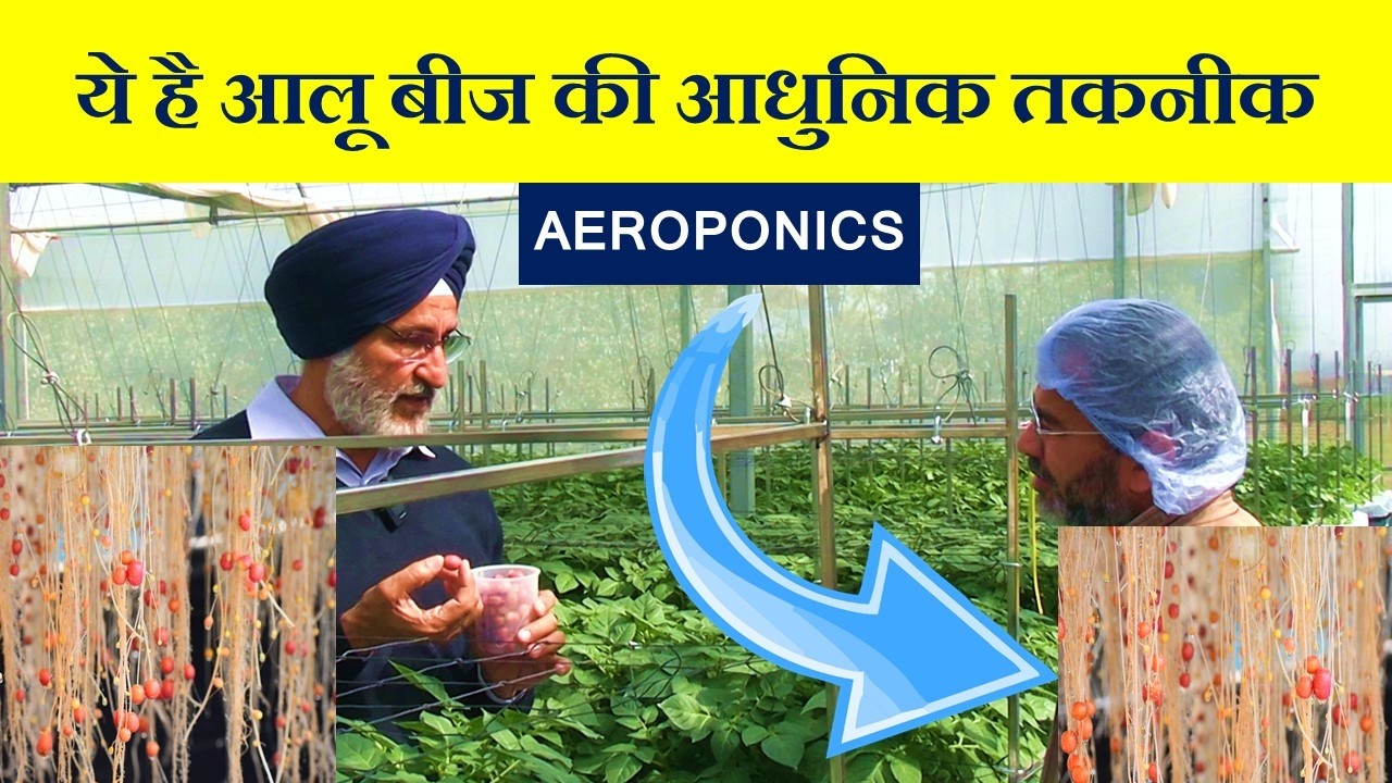 104 - Aeroponics = आलू की जान | Seed Potato Revolution in India