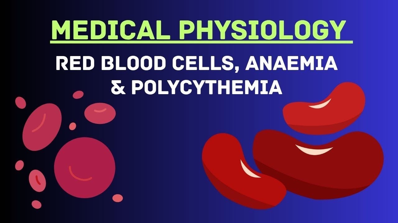 Guyton and Hall Physiology | Chapter 33 | Red Blood Cells, Anemia and Polycythemia