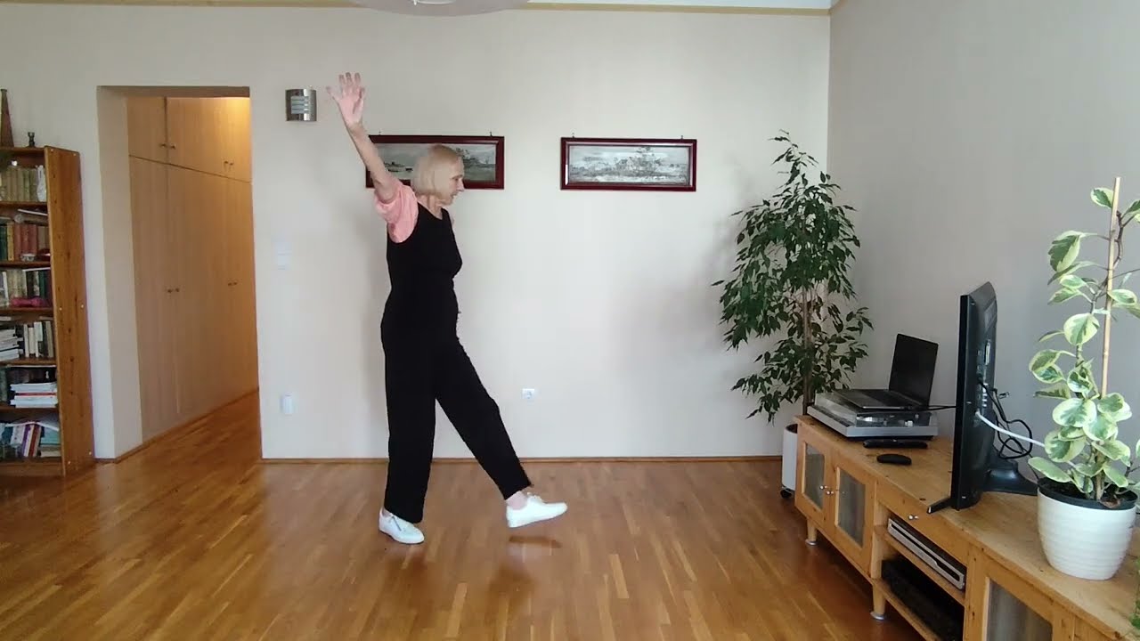 Cha Cha Tango Line Dance