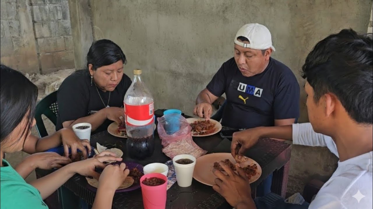 Denis Le Da Comida En La Boca A Estrella En La Cara De Toñita😡 Ya No Quiso Comer😱