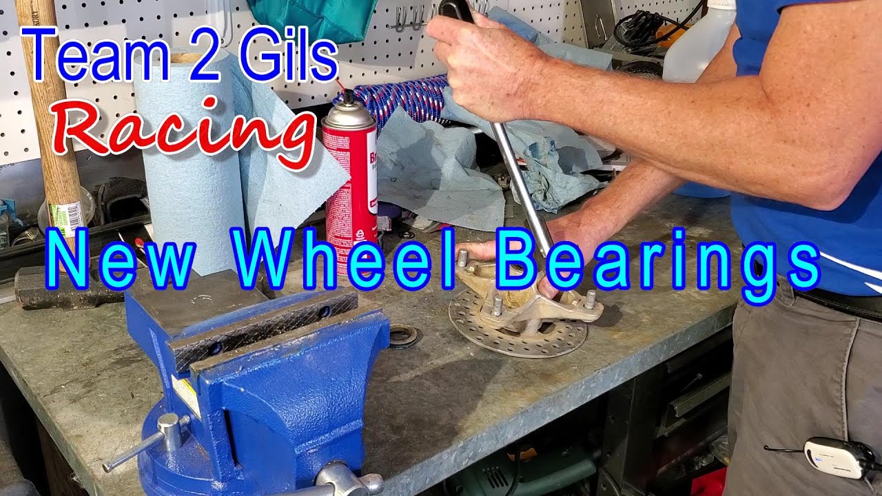 New Yamaha Raptor Front Wheel Bearings