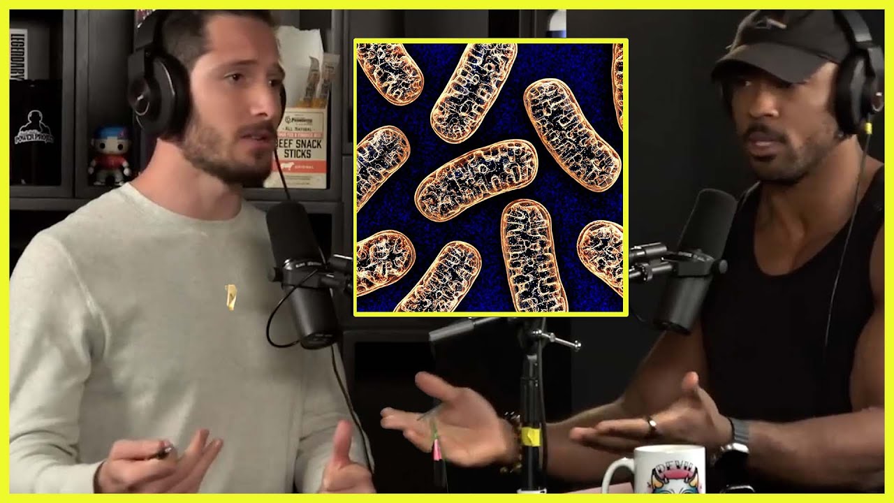How To Increase Mitochondrial Efficiency