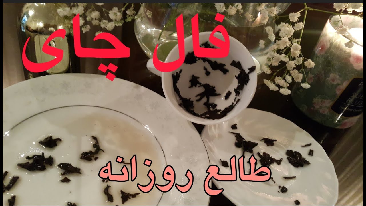 فال چای | طالع روزانه با فال چای 🔥  #farsi_tarot #fal #فال