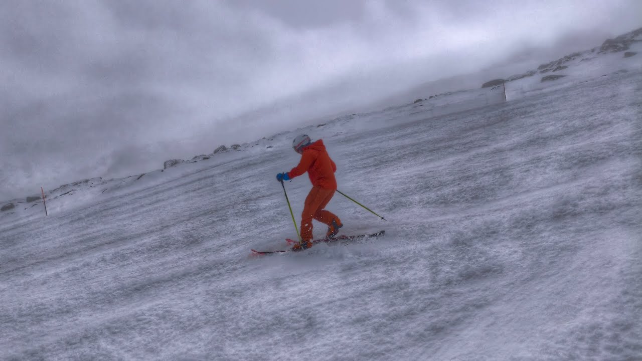 TeLeMaRK