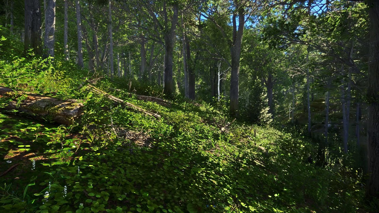Kingdom Come Deliverance MOD SUPPORT-  extreme graphic - Apex ENB new photorealistic GUIDE download