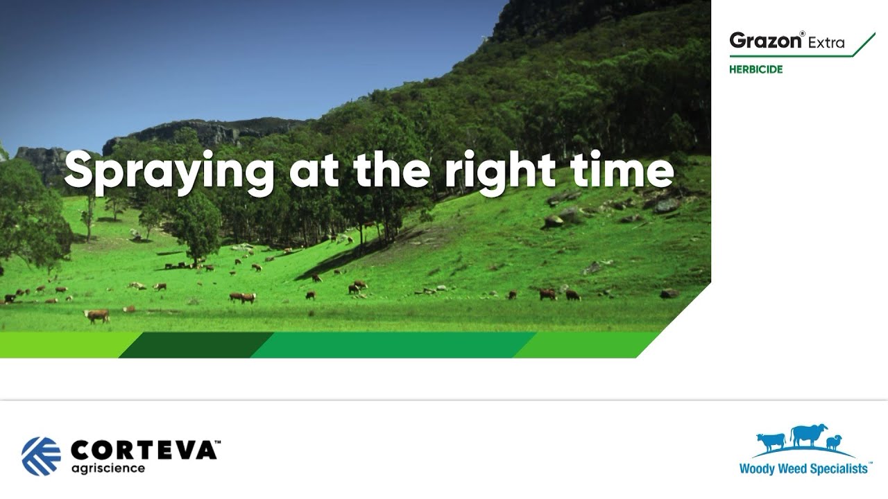 Application - Spraying at the right time