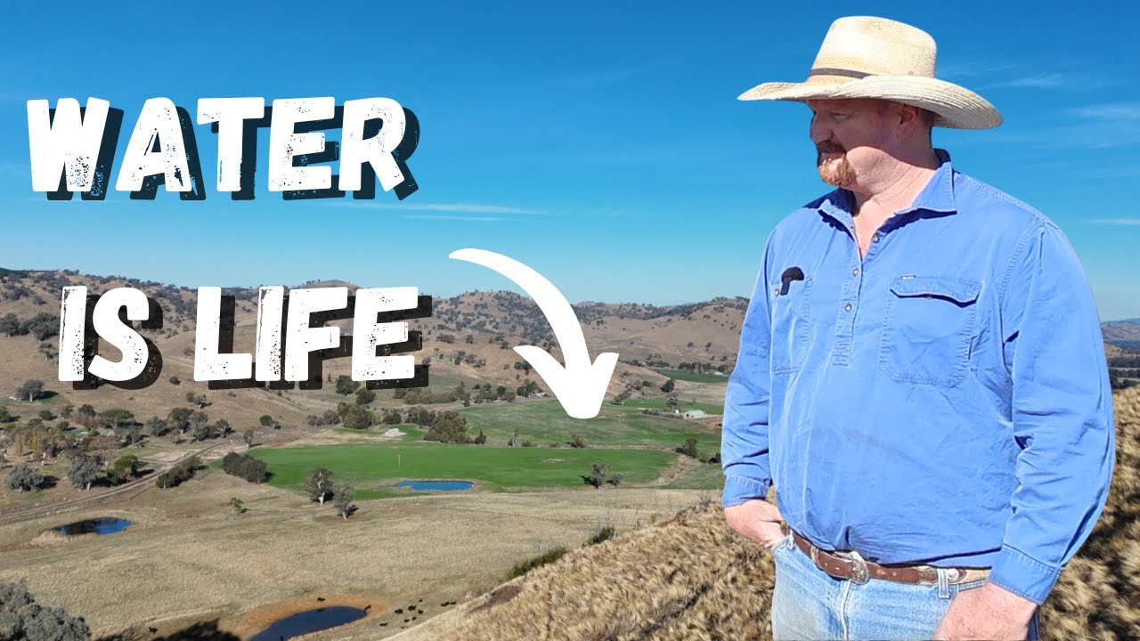 Prescision Water Management Drives Farm Profitability