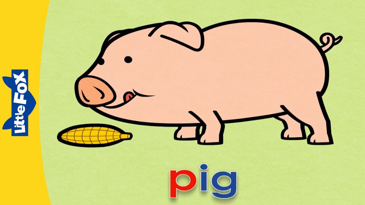 ABC Book | Letters P to T | Phonics | Learn to Read | Alphabet