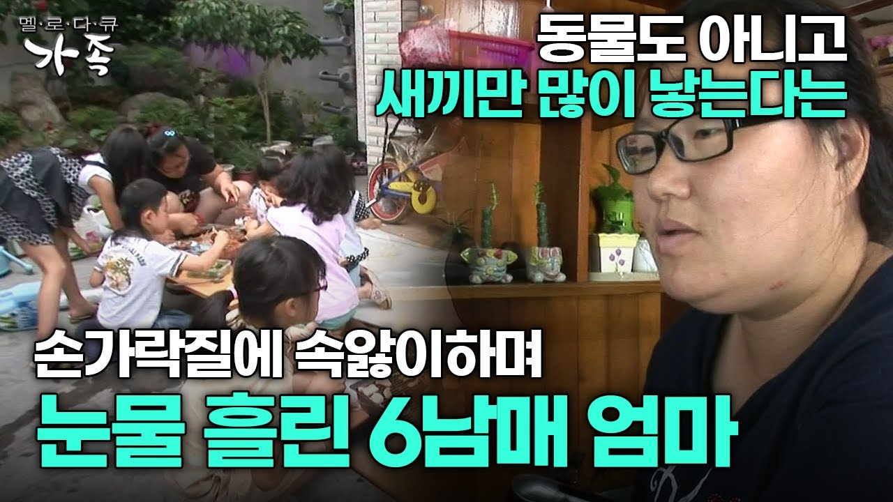 [다큐 &lsquo;가족&rsquo; 71회 1부] 동물도 아니고 새끼만 많이 낳는다는 손가락질에 속앓이하며 눈물 흘린 6남매 엄마