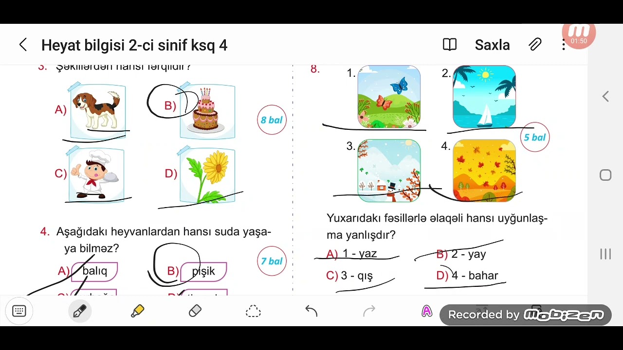 2-ci sinif Həyat bilgisi KSQ 4 sualları