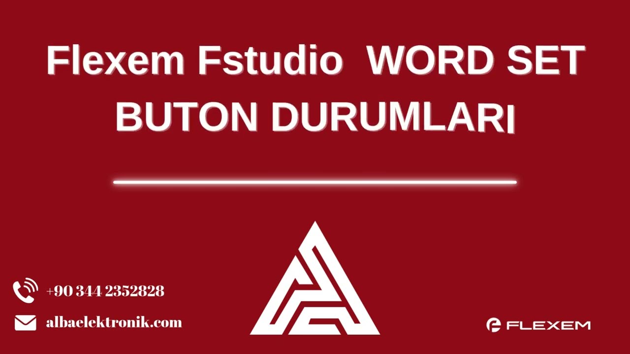 FLEXEM FStudio WORD SET BUTON DURUMLARI 