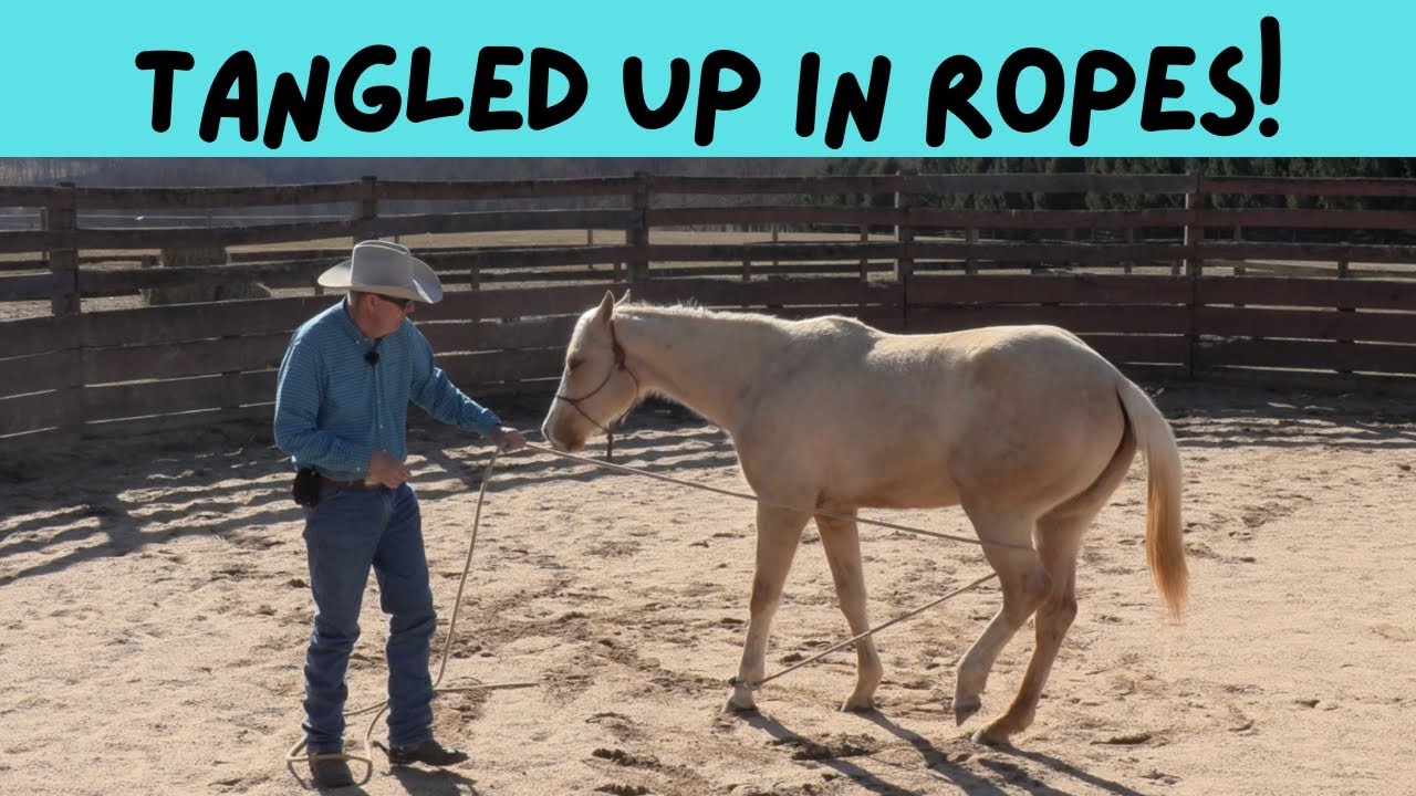 Getting Tangled Up in Ropes! (Episode 250) - Herm Gailey: A Lifetime with Horses