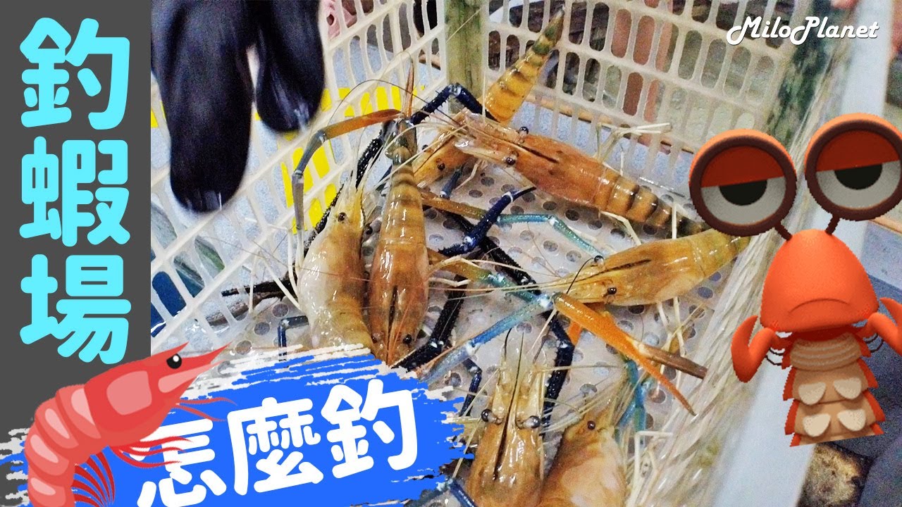 釣蝦界🦐也有一番賞🎫 | 一起去體驗馬來西亞🇲🇾釣蝦🦐