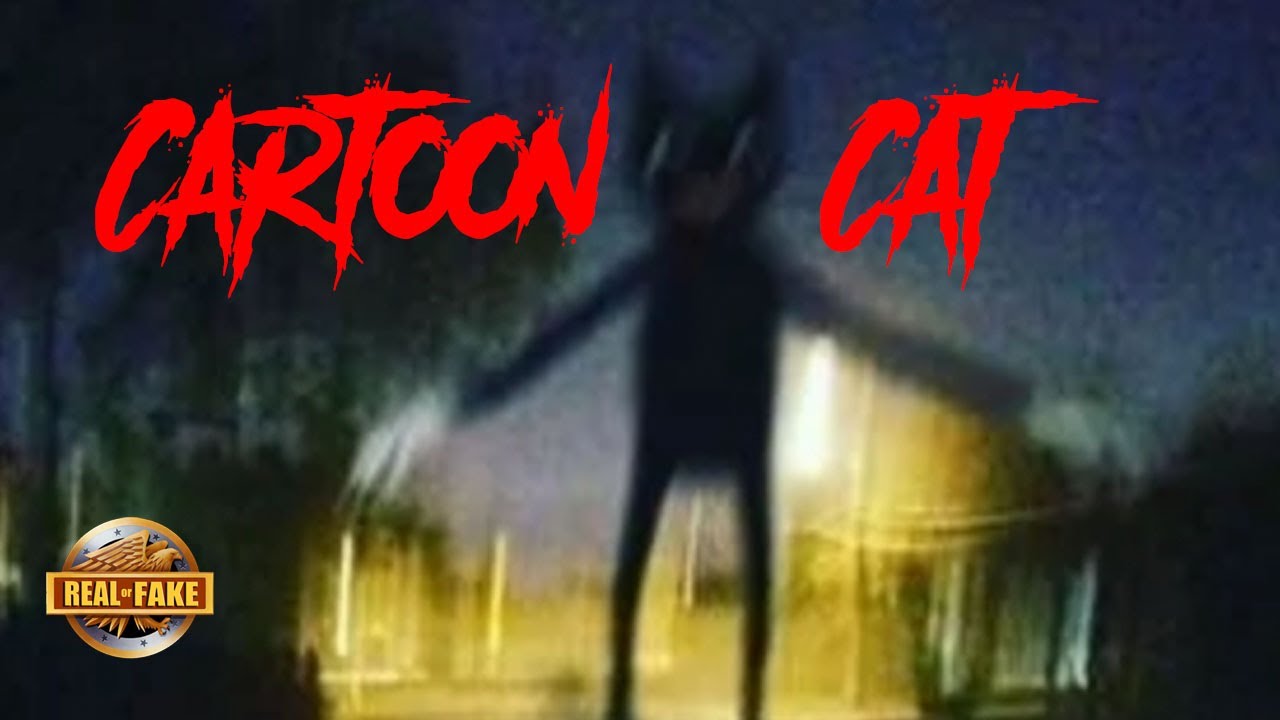 CARTOON CAT - real or fake?