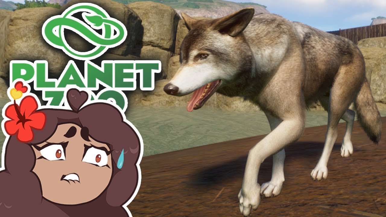 WOLF Escapes & Rocky Falls Follies?! 🐺 Daily Planet Zoo Special! • Day 22