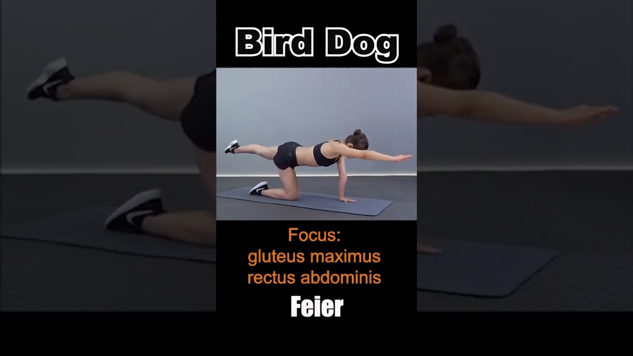 Bird dog #exercise #fitness #fitnesslifestyle #workout #birddog