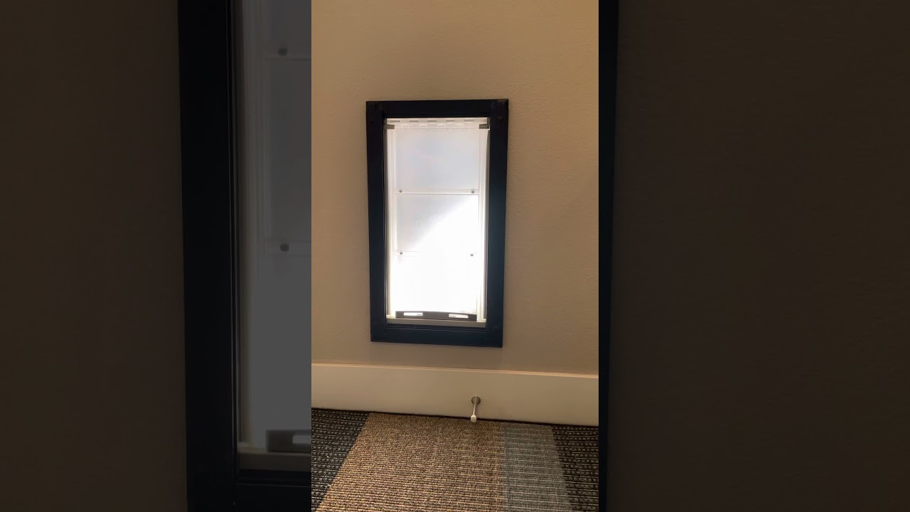 Endura Flap Large pet door review