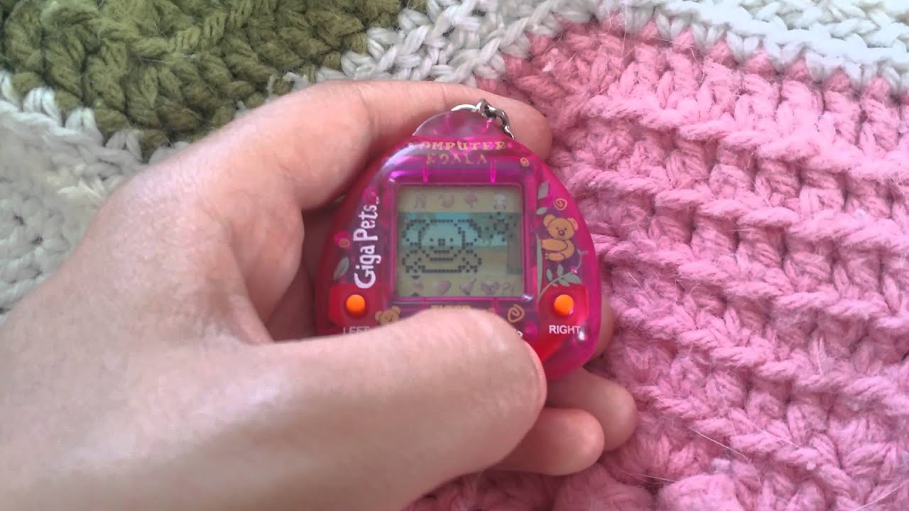Giga pet koala review!