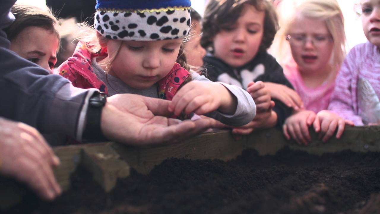 Jamie Oliver's Kitchen Garden Project at Samares School