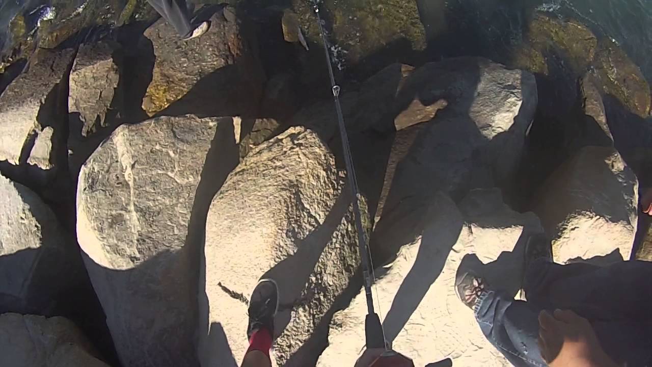 Fishing for jack smelt at oceanside harbor
