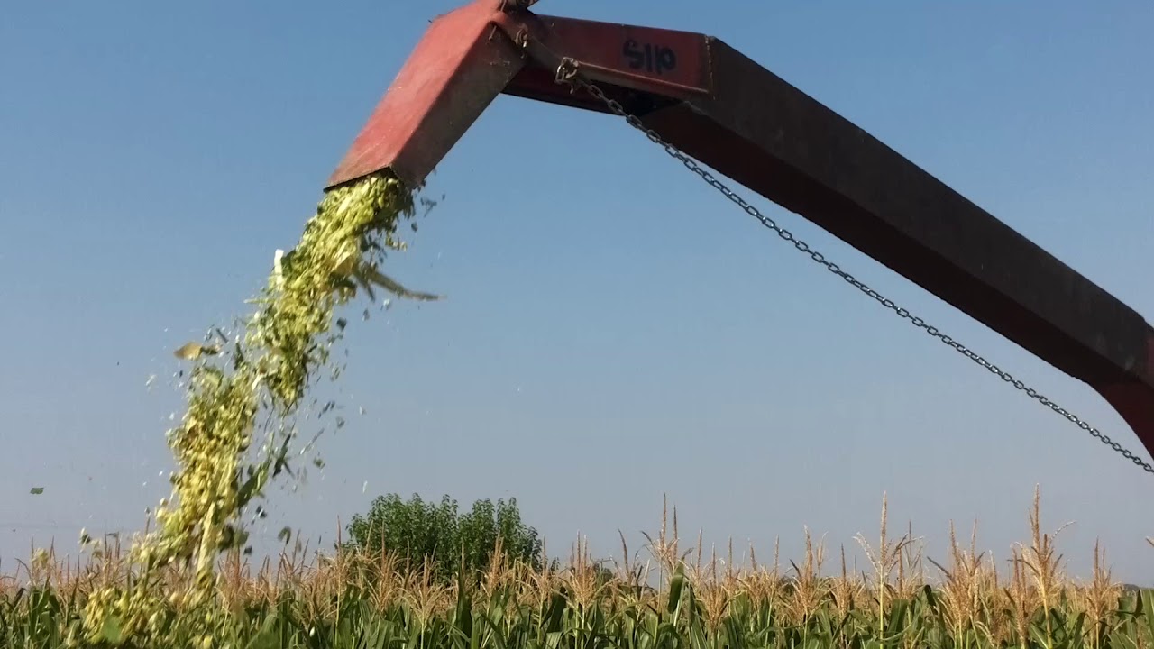 Siliranje 2018 imt 558