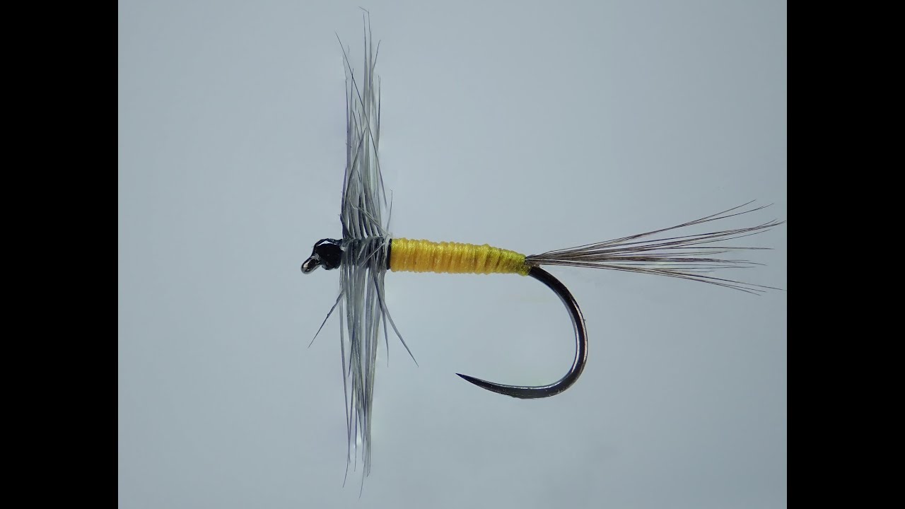 Araignée (fly spider)
