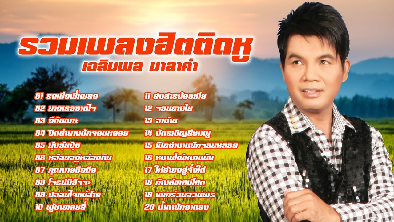 รวมเพลงฮิตติดหู : เฉลิมพล มาลาคำ